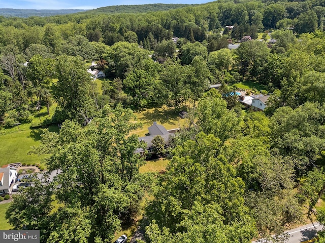 708 E Seminary, Towson, MD 21286 - aerial view of a heavily wooded area
