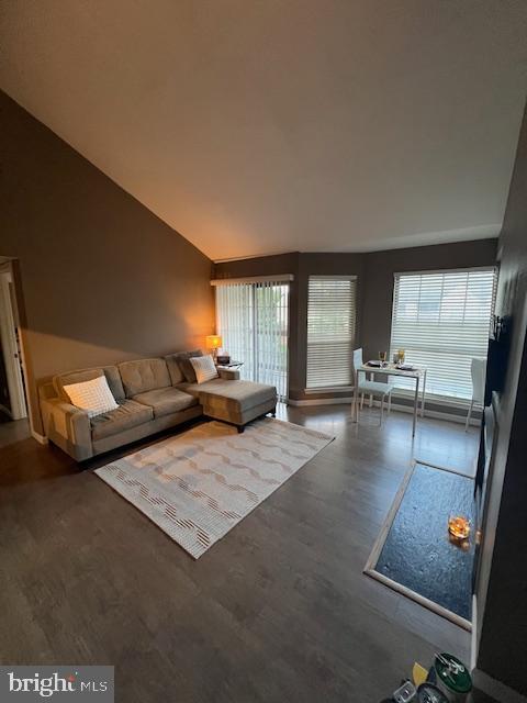 12163 Penderview Ter Unit 1034, Fairfax, VA 22033 - living area with lofted ceiling and wood finished floors