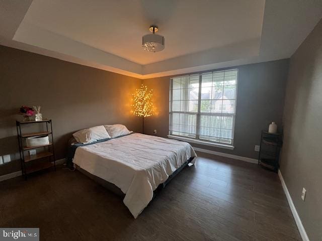 12163 Penderview Ter Unit 1034, Fairfax, VA 22033 - bedroom with a tray ceiling and dark wood-style flooring