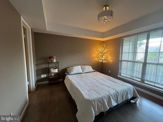 12163 Penderview Ter Unit 1034, Fairfax, VA 22033 - bedroom with a raised ceiling, wood finished floors, and multiple windows