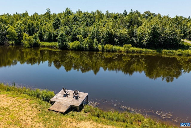 1 Cross County Rd, Mineral, VA 23117 - dock area with a water view and a view of trees