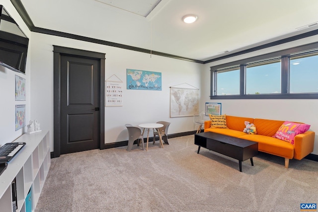 1 Cross County Rd, Mineral, VA 23117 - sitting room with light carpet, attic access, and ornamental molding