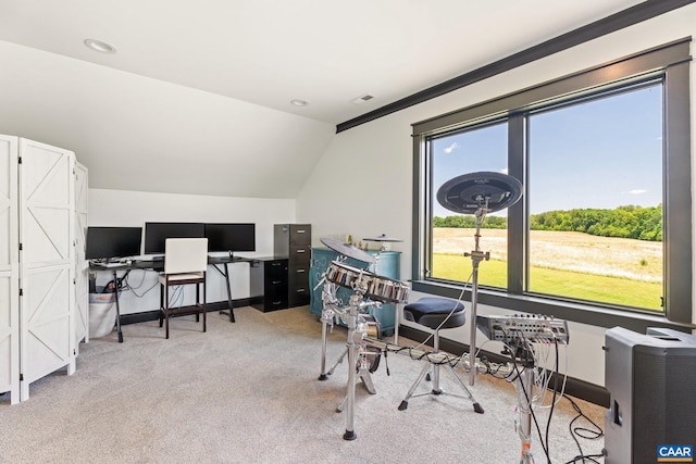 1 Cross County Rd, Mineral, VA 23117 - home office featuring vaulted ceiling and light colored carpet