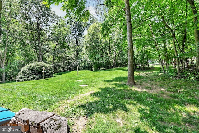 59 Segovia Ct, Hanover, PA 17331 - view of grassy yard