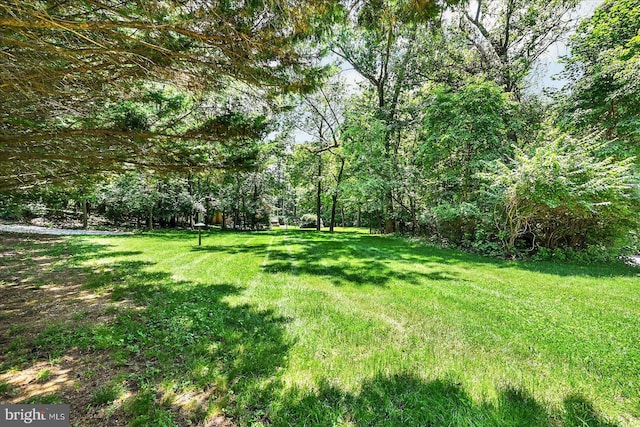 59 Segovia Ct, Hanover, PA 17331 - view of green lawn