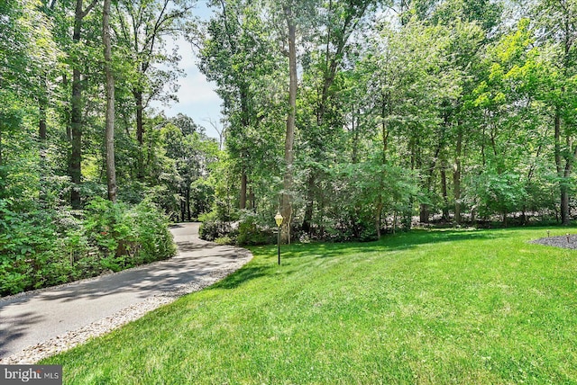 59 Segovia Ct, Hanover, PA 17331 - view of home's community with a yard and a view of trees