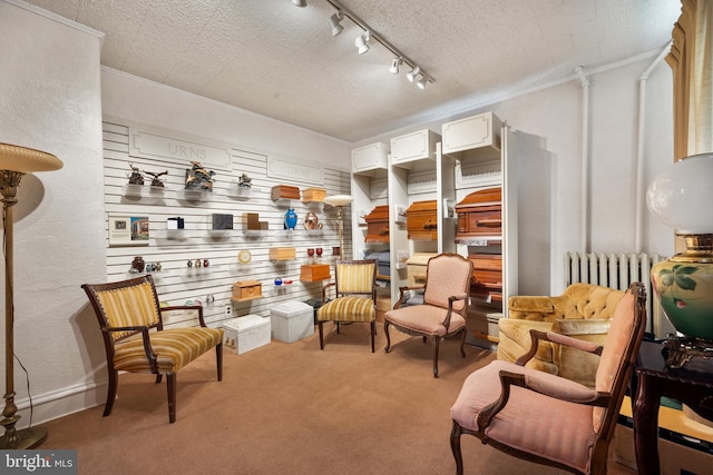 2505-2507 High St, Port Norris, NJ 08349 - sitting room with carpet floors, rail lighting, ornamental molding, and radiator heating unit