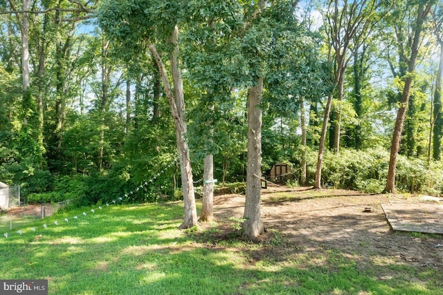 1614 Maryland Ave, Woodbridge, VA 22191 - view of green lawn featuring a storage unit