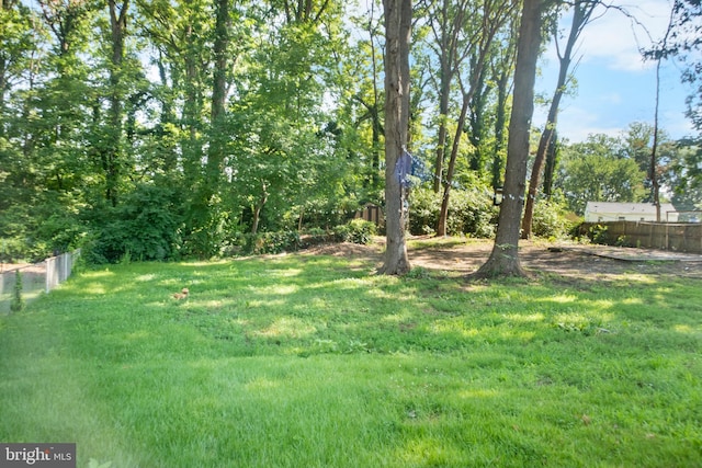 1614 Maryland Ave, Woodbridge, VA 22191 - view of yard