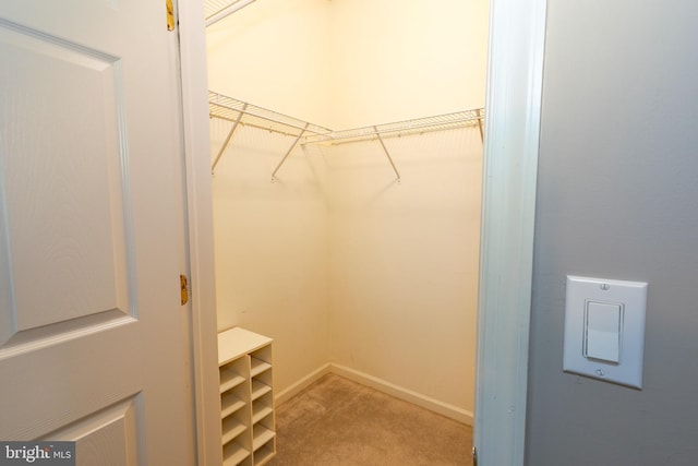 39 Mission Way, Barnegat, NJ 08005 - walk in closet featuring carpet flooring