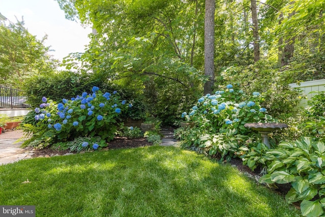 2819 Live Oak Ln, Midlothian, VA 23113 - view of yard