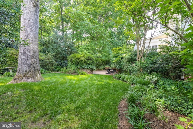 2819 Live Oak Ln, Midlothian, VA 23113 - view of grassy yard