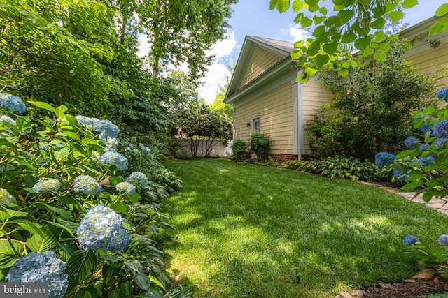 2819 Live Oak Ln, Midlothian, VA 23113 - view of yard