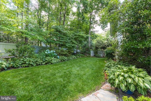 2819 Live Oak Ln, Midlothian, VA 23113 - view of fenced backyard