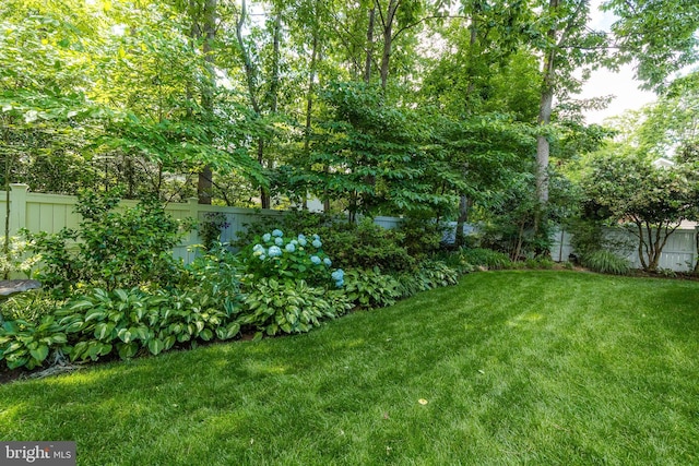 2819 Live Oak Ln, Midlothian, VA 23113 - view of fenced backyard