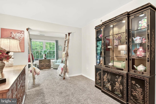 16 Rainflower Path Unit 204, Sparks Glencoe, MD 21152 - living area featuring carpet and baseboards