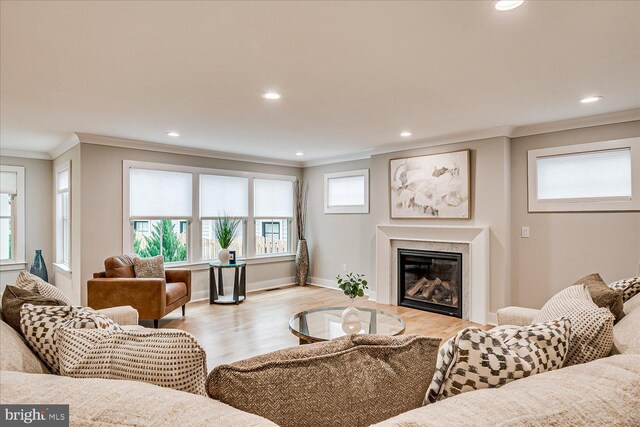 569 Riverside Dr, Princeton, NJ 08540 - living room with ornamental molding, a premium fireplace, light wood-style floors, and recessed lighting