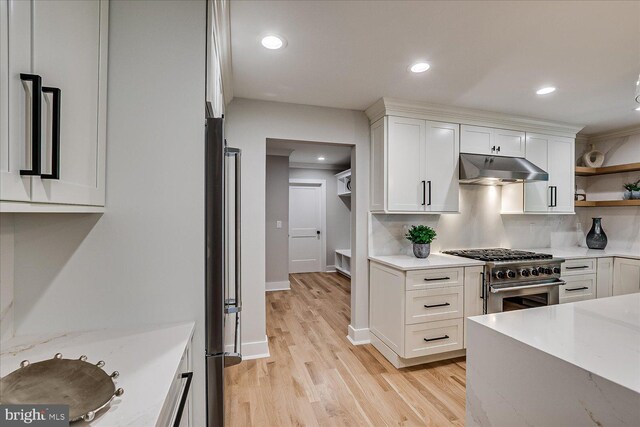 569 Riverside Dr, Princeton, NJ 08540 - kitchen featuring appliances with stainless steel finishes, under cabinet range hood, white cabinetry, light wood-style flooring, and recessed lighting