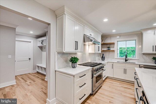 569 Riverside Dr, Princeton, NJ 08540 - kitchen with appliances with stainless steel finishes, under cabinet range hood, tasteful backsplash, ornamental molding, and light wood-style flooring