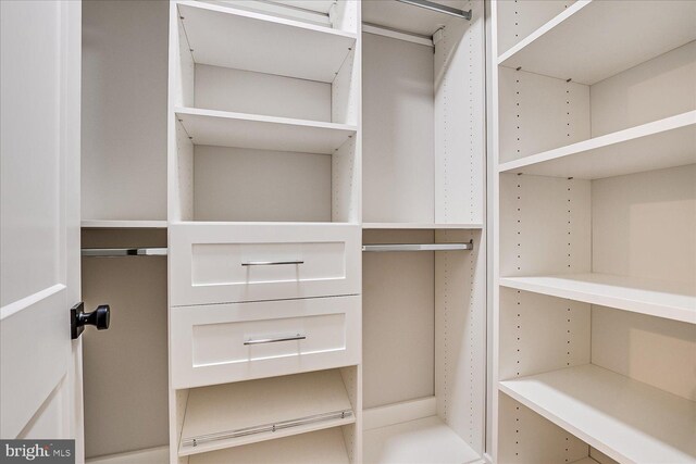 569 Riverside Dr, Princeton, NJ 08540 - view of walk in closet