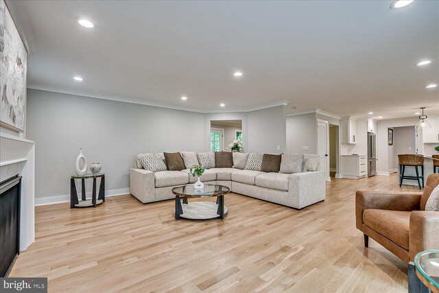 569 Riverside Dr, Princeton, NJ 08540 - living room with light wood-type flooring, crown molding, recessed lighting, and a fireplace