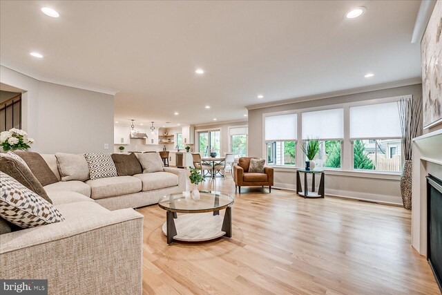 569 Riverside Dr, Princeton, NJ 08540 - living area with crown molding, recessed lighting, a fireplace, and light wood-type flooring