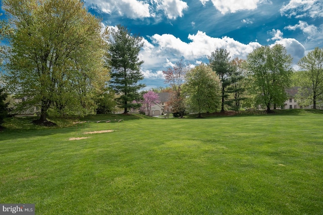 431 Waynesbrooke Rd, Berwyn, PA 19312 - view of green lawn