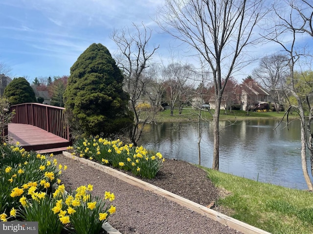 431 Waynesbrooke Rd, Berwyn, PA 19312 - water view