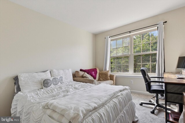 300 Jefferson Ave Unit 13, Downingtown, PA 19335 - bedroom featuring carpet flooring and a desk