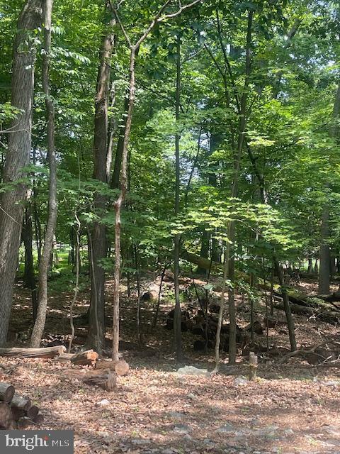 281 Levan St, Reading, PA 19606