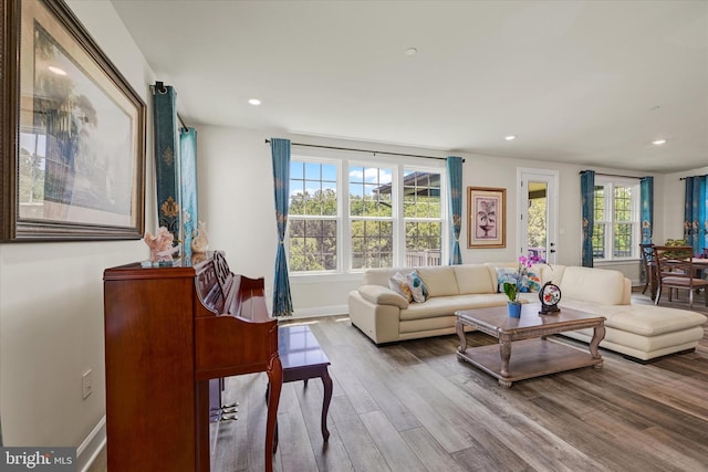 6071 Fallfish Ct, New Market, MD 21774 - living area featuring wood finished floors and recessed lighting