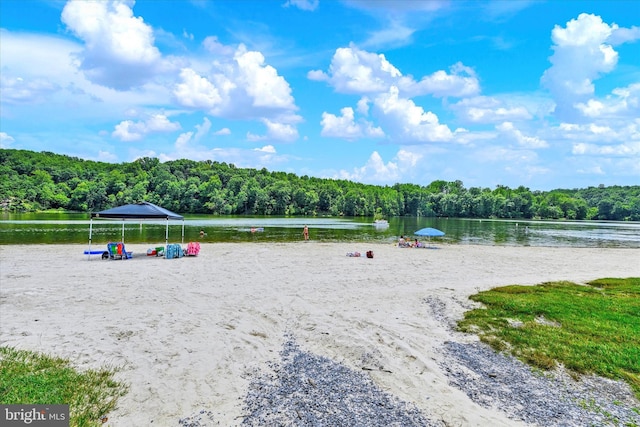 6071 Fallfish Ct, New Market, MD 21774 - view of property's community with a view of trees and a water view