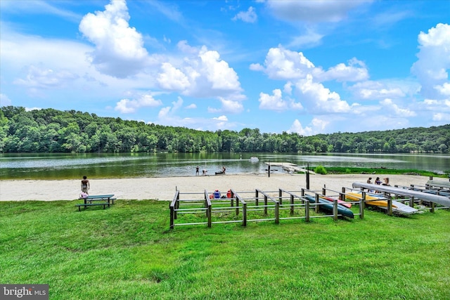 6071 Fallfish Ct, New Market, MD 21774 - view of home's community featuring a forest view, a lawn, and a water view