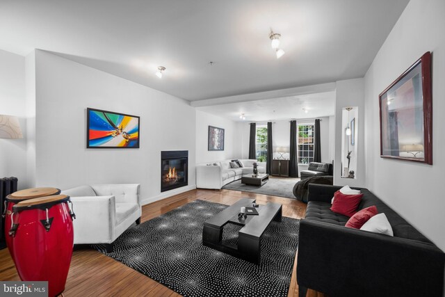 210 S High St, Baltimore, MD 21202 - living room featuring wood finished floors and a glass covered fireplace