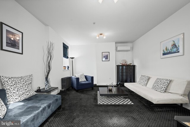 210 S High St, Baltimore, MD 21202 - carpeted living room with a wall mounted AC and radiator heating unit