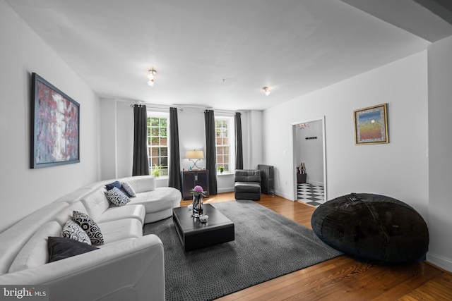 210 S High St, Baltimore, MD 21202 - living room featuring wood finished floors