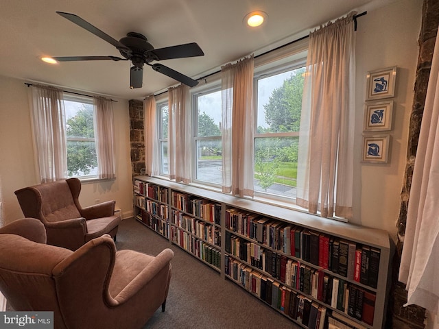 4309 Walther Ave, Baltimore, MD 21214 - sitting room featuring carpet, a ceiling fan, and recessed lighting
