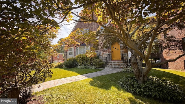 4309 Walther Ave, Baltimore, MD 21214 - view of front facade featuring entry steps, a front yard, and stone siding