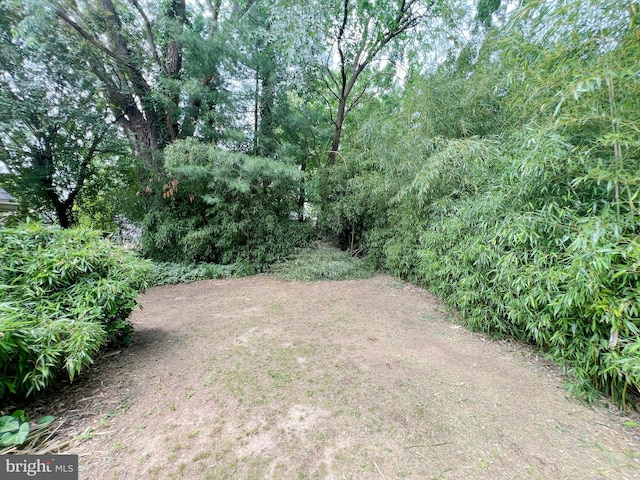 203 Spring Dr, Voorhees, NJ 08043 - view of yard
