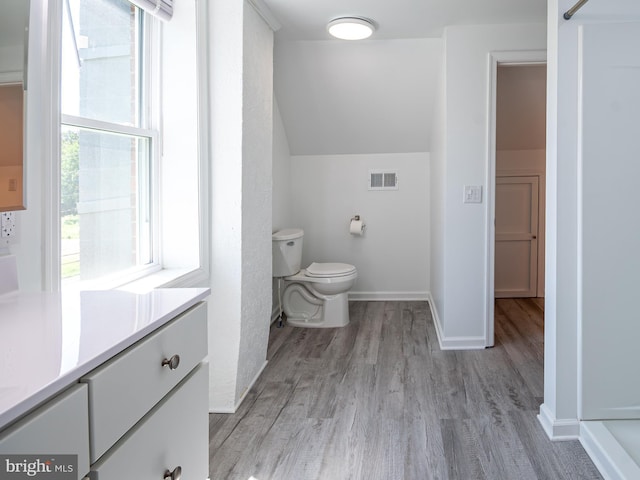 2450 Happy Creek Rd, Front Royal, VA 22630 - bathroom featuring wood finished floors, lofted ceiling, and vanity