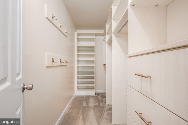 20406 Shore Harbour Dr Unit 4-A, Germantown, MD 20874 - walk in closet featuring carpet