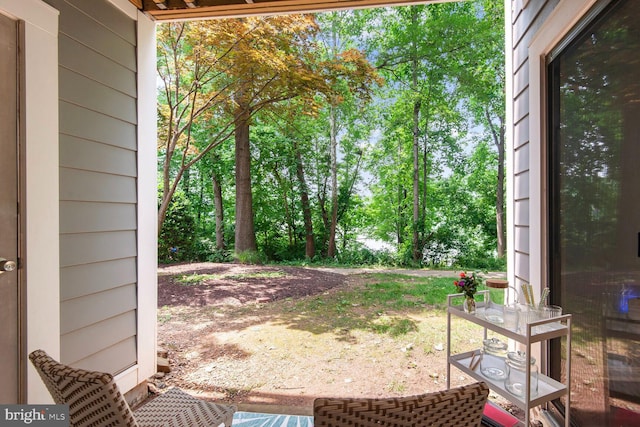 20406 Shore Harbour Dr Unit 4-A, Germantown, MD 20874 - view of yard