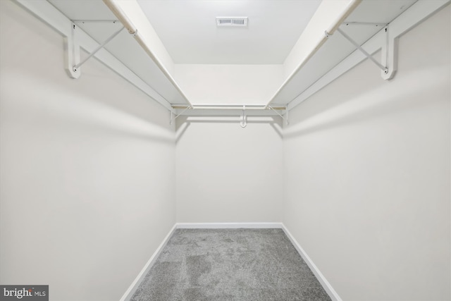 104 Clark Ct, Millington, MD 21651 - walk in closet featuring carpet flooring