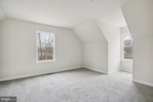 104 Clark Ct, Millington, MD 21651 - additional living space with vaulted ceiling and carpet floors