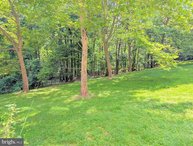 7805 Chartwell Pl, Greenbelt, MD 20770 - view of green lawn