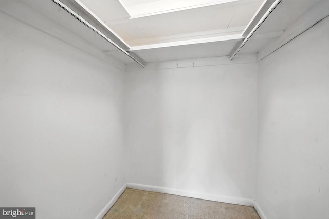 12001 Old Columbia Pike Unit 305, Silver Spring, MD 20904 - spacious closet with carpet