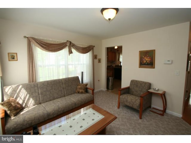 5 Vaccaro Rd, Lawrenceville, NJ 08648 - living area featuring plenty of natural light and carpet flooring
