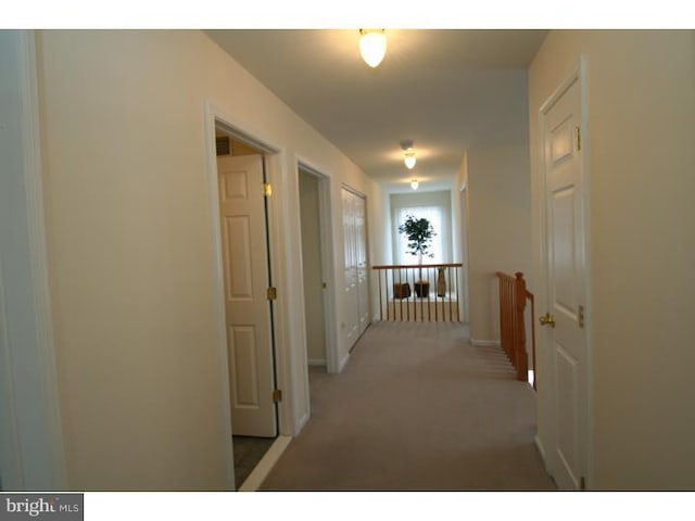 5 Vaccaro Rd, Lawrenceville, NJ 08648 - hall featuring an upstairs landing and light colored carpet