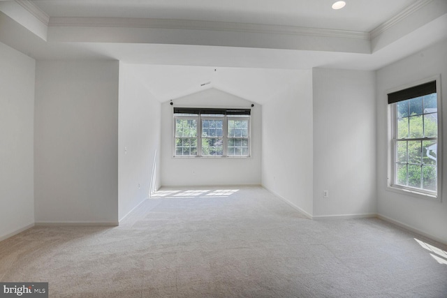 13319 Moonlight Trail Dr, Silver Spring, MD 20906 - carpeted empty room featuring ornamental molding, a tray ceiling, and lofted ceiling