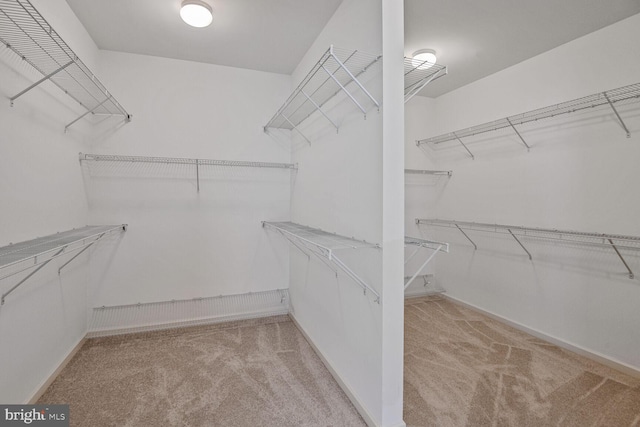 13319 Moonlight Trail Dr, Silver Spring, MD 20906 - walk in closet featuring carpet flooring